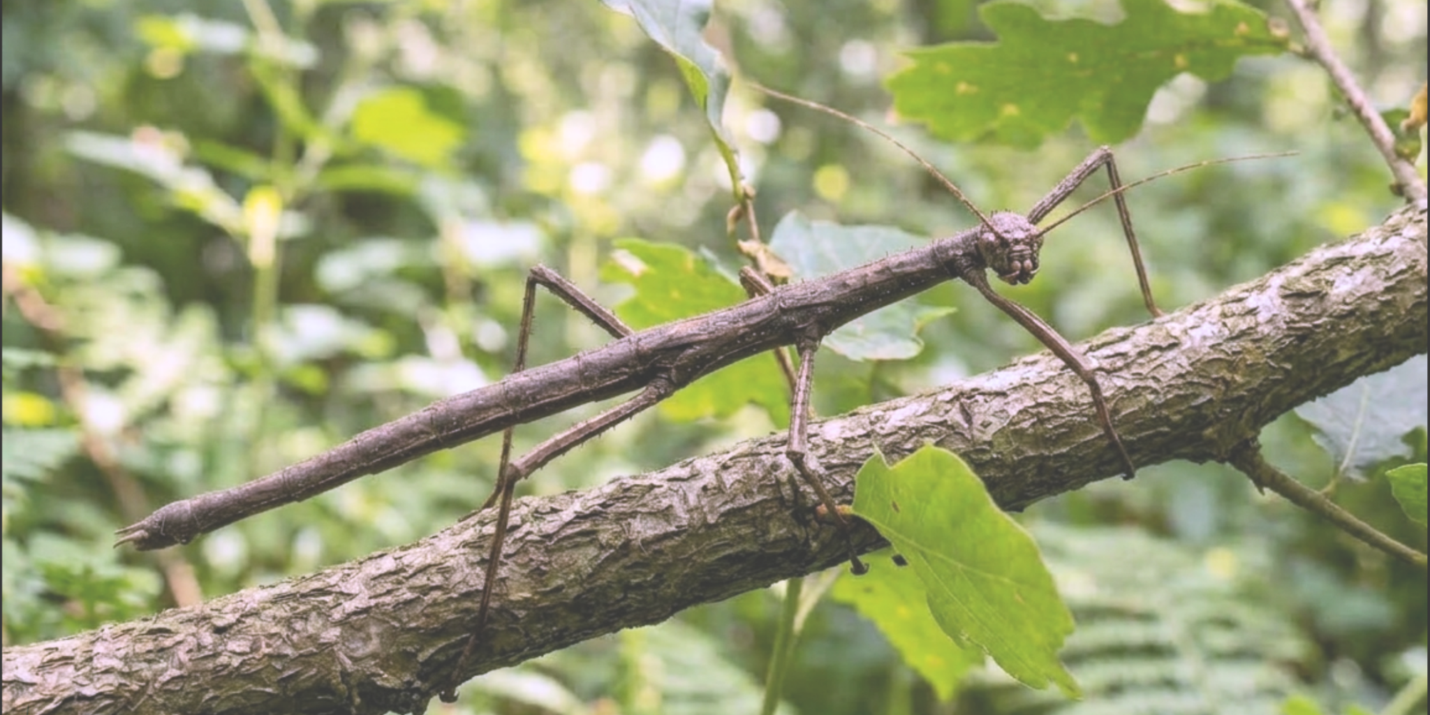 Personal Growth in Nicaragua