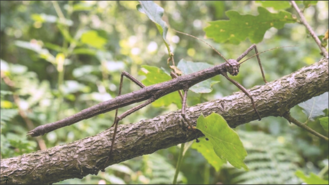 Personal Growth in Nicaragua